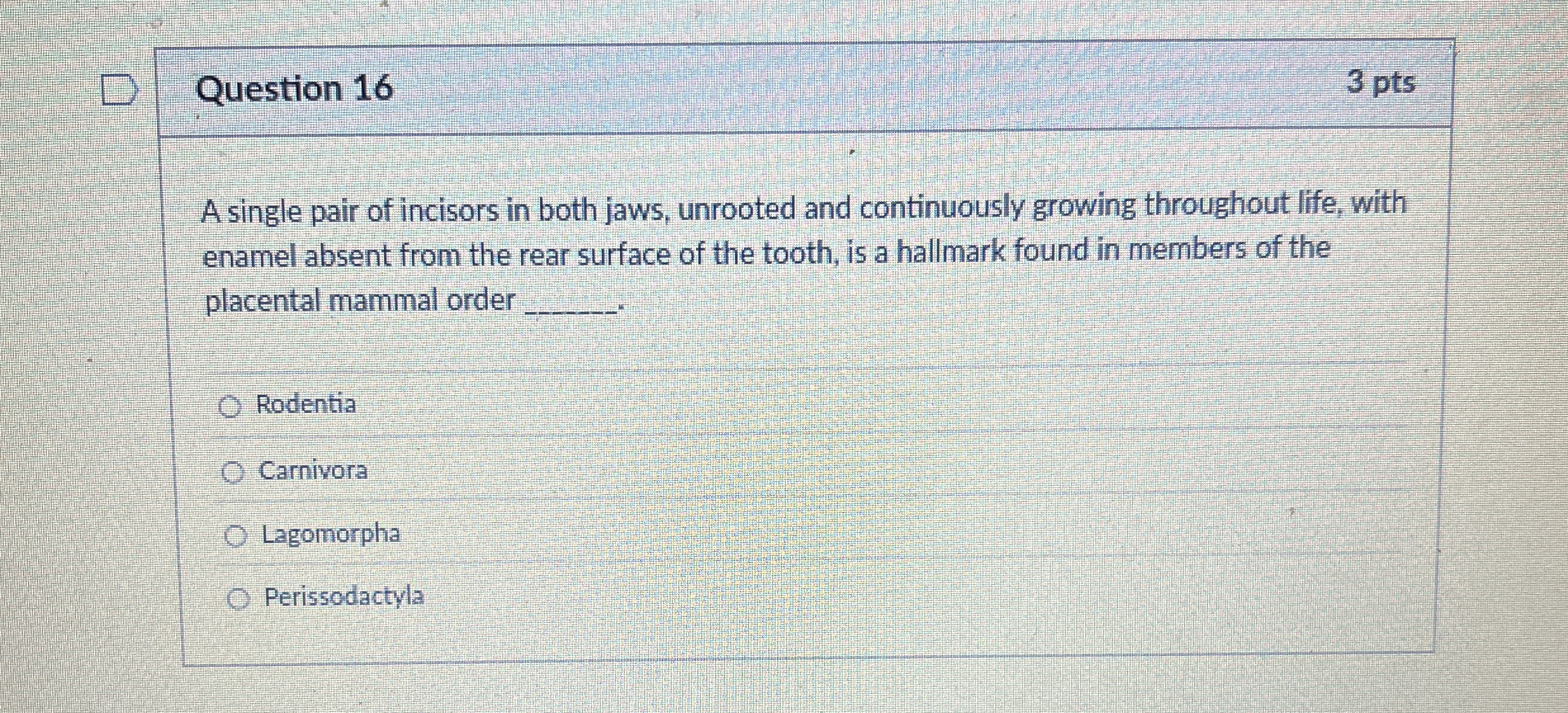 Question 1 6 3 pts A single pair of incisors in