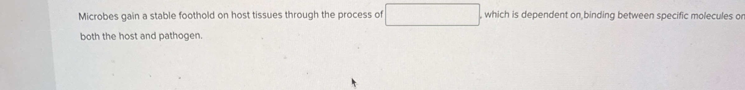 Microbes gain a stable foothold on host tissues