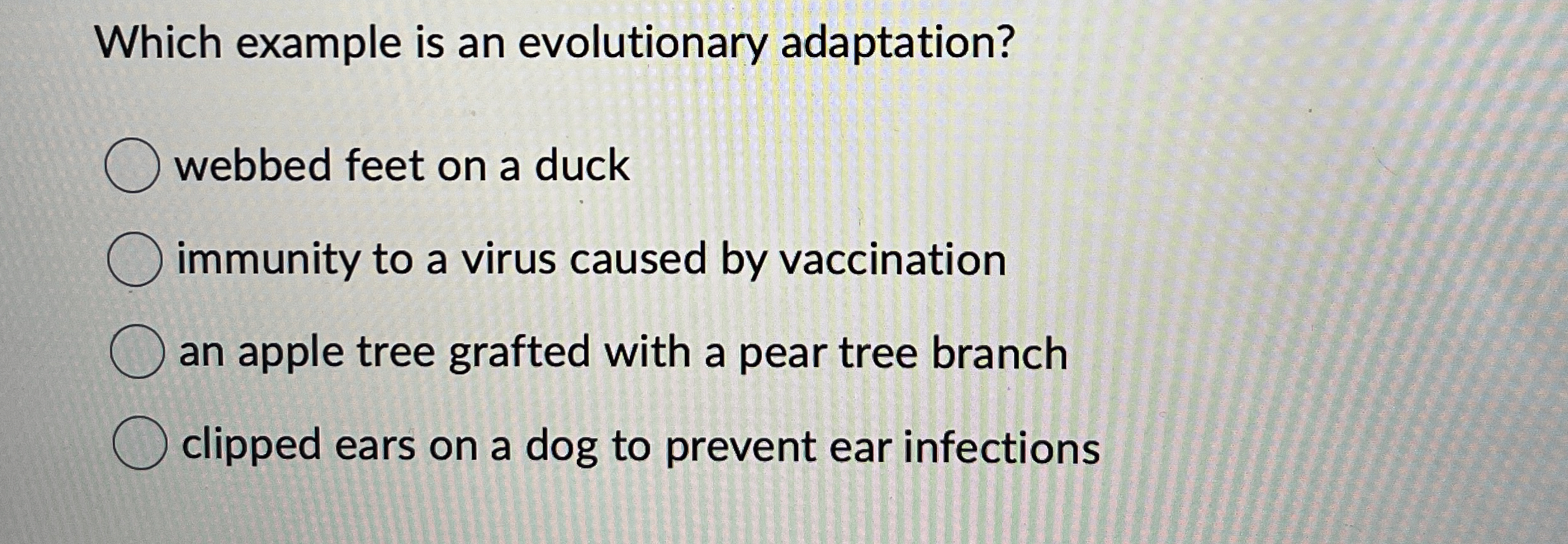 Which example is an evolutionary adaptation?