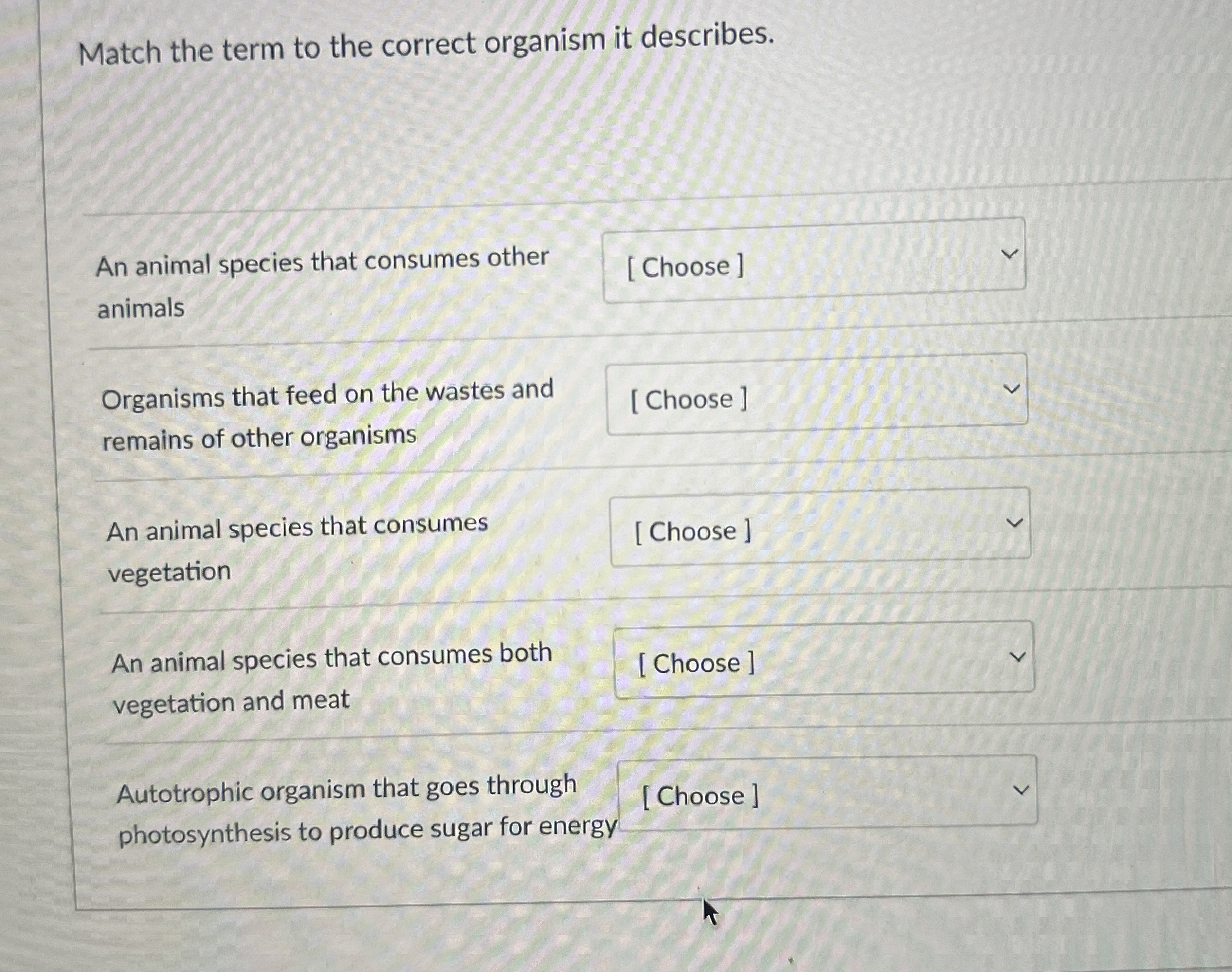 Match the term to the correct organism it