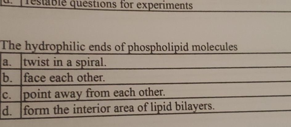 festable questions for experiments The