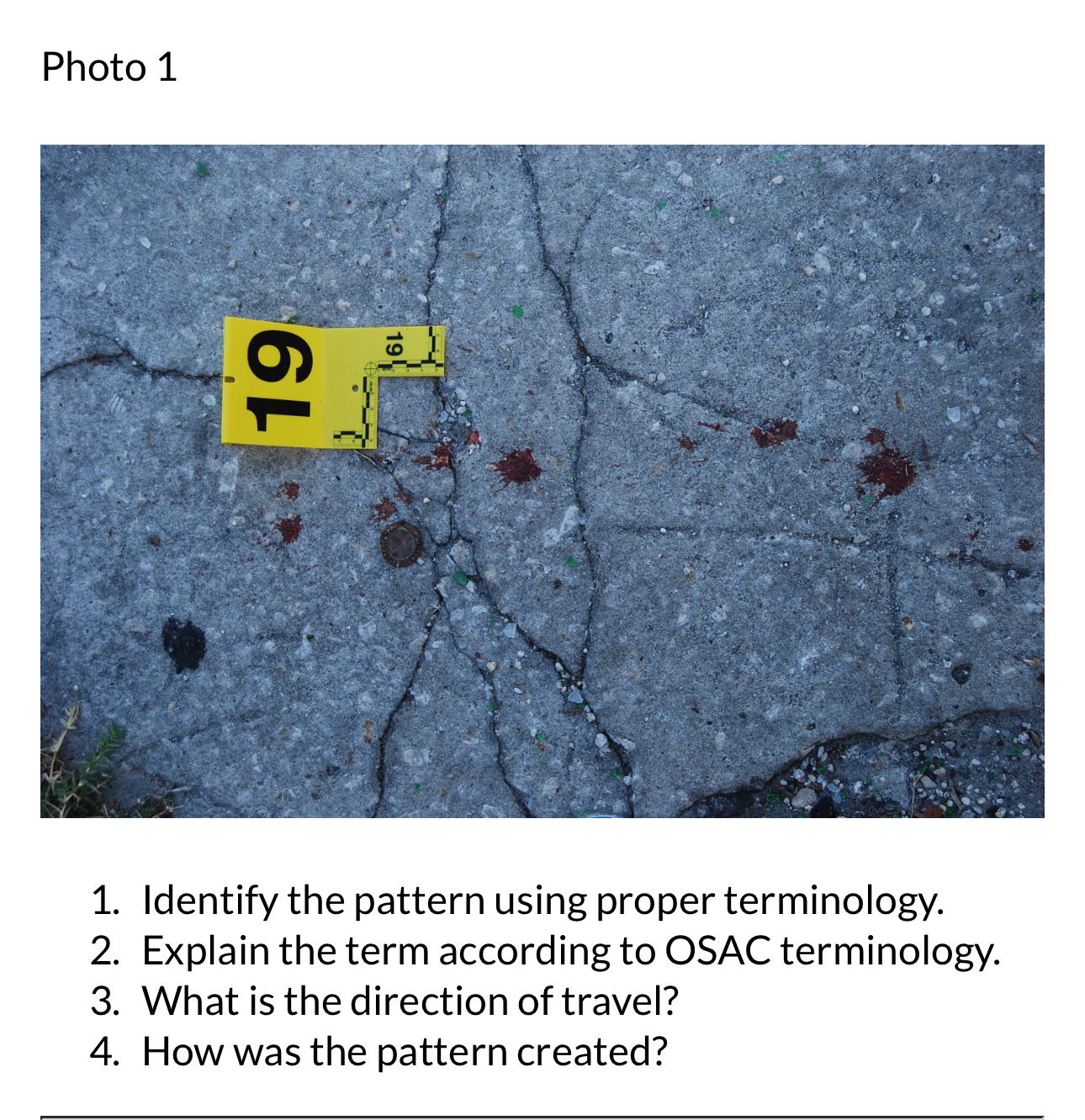 Photo 1 19 1. Identify the pattern using proper