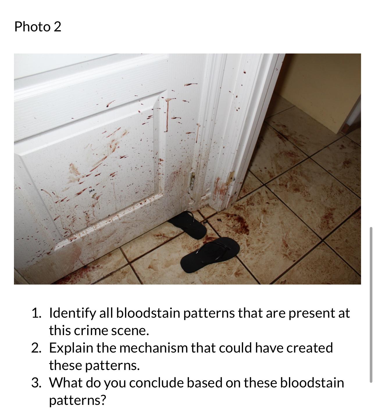 Photo 1 19 1. Identify the pattern using proper