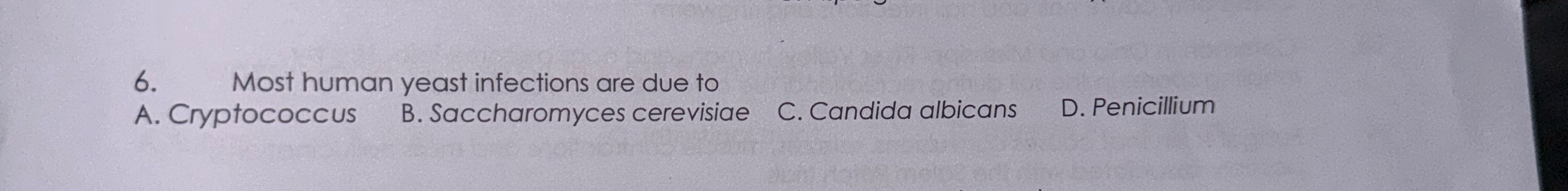 Most human yeast infections are due to A .