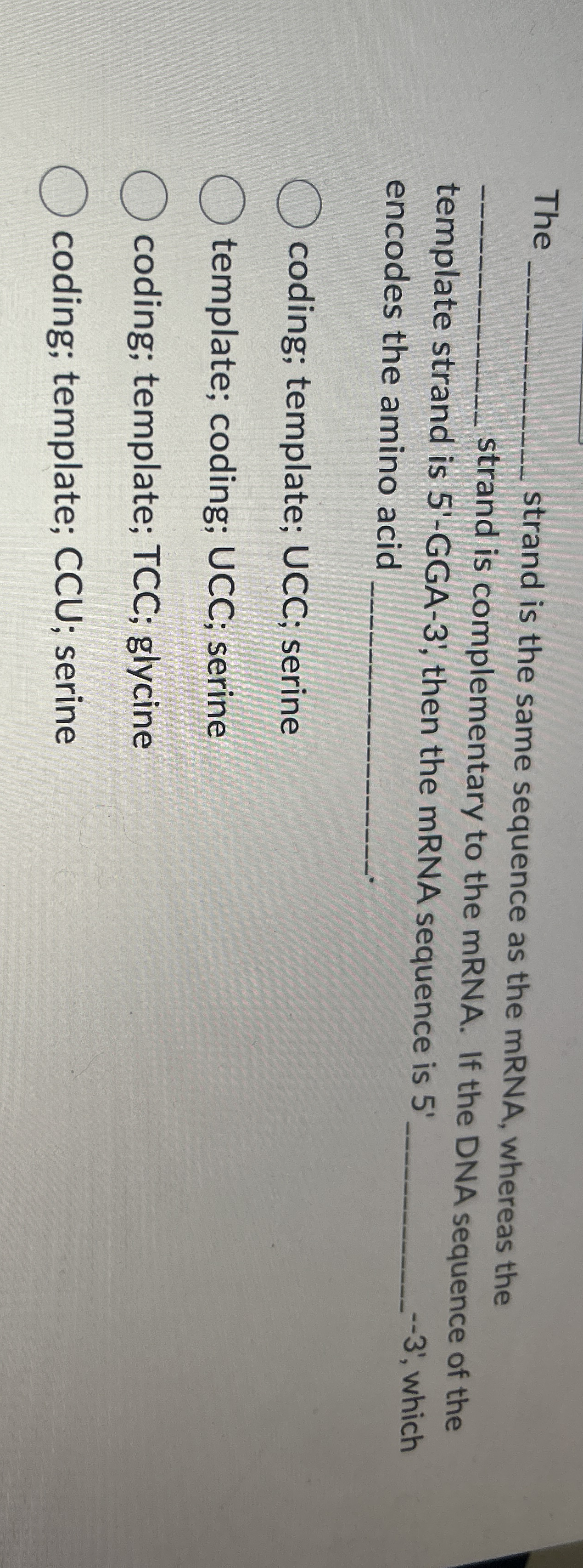 The q , strand is the same sequence as the mRNA,