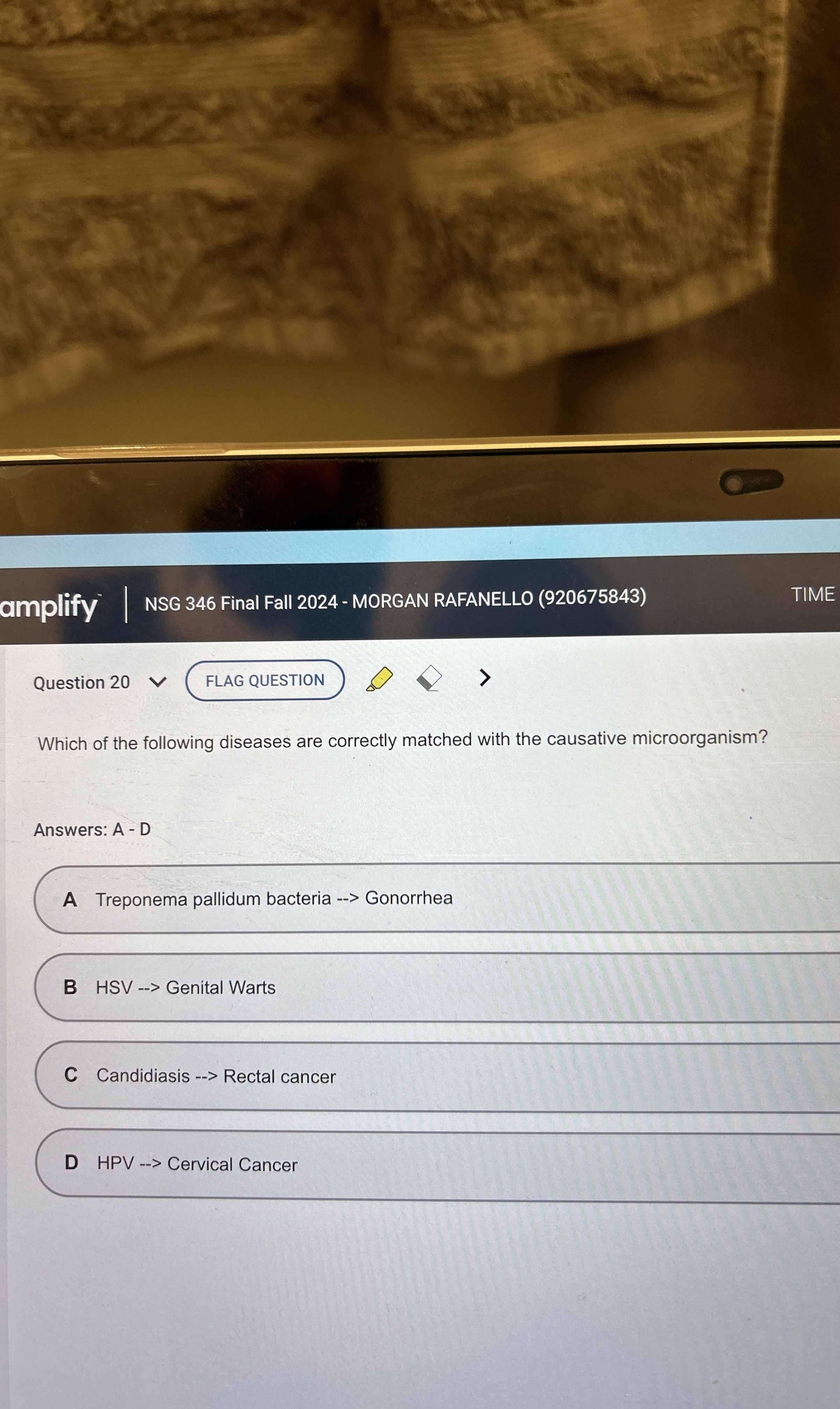 amplify NSG 3 4 6 Final Fall 2 0 2 4 - MORGAN