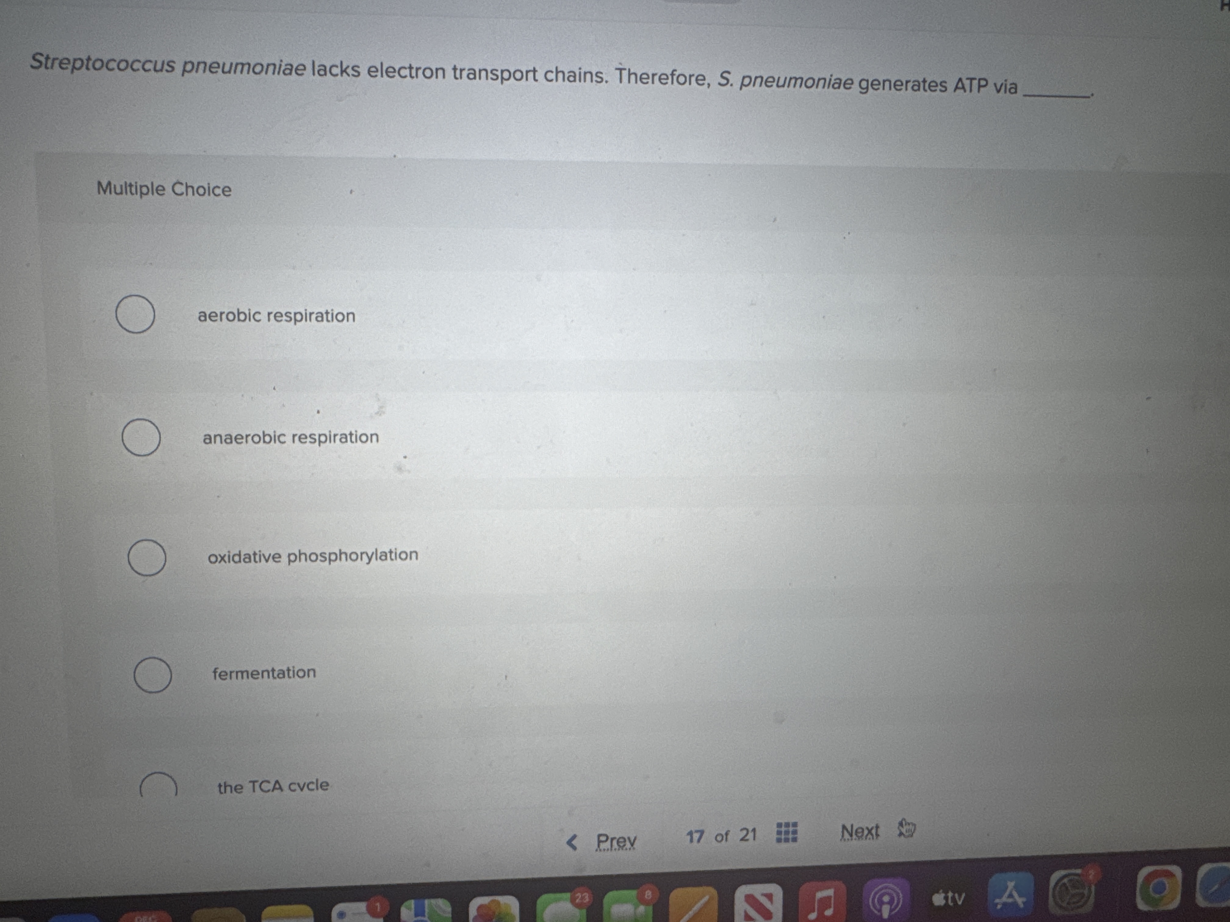 Streptococcus pneumoniae lacks electron transport