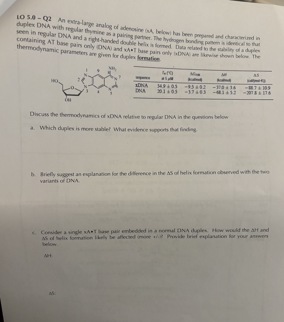 LO 5 . 0 - Q 2 An extra - large analog of