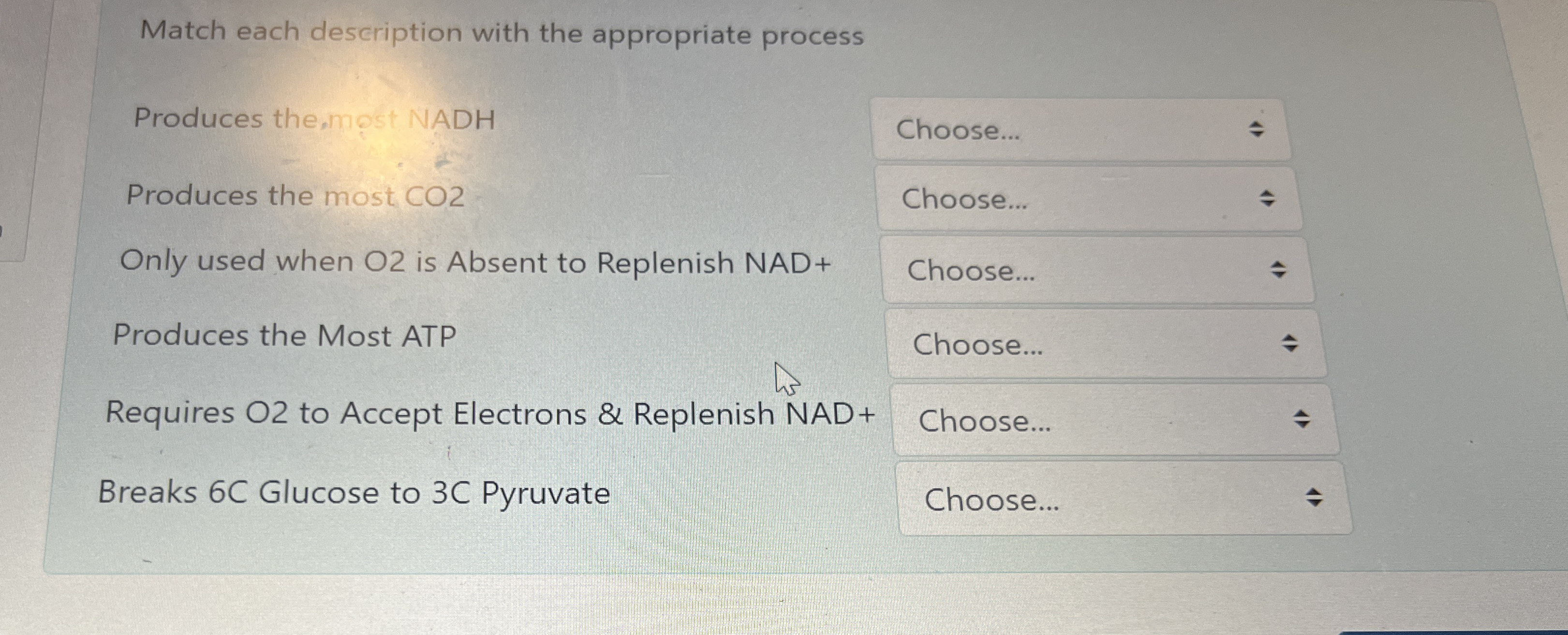 Match each description with the appropriate