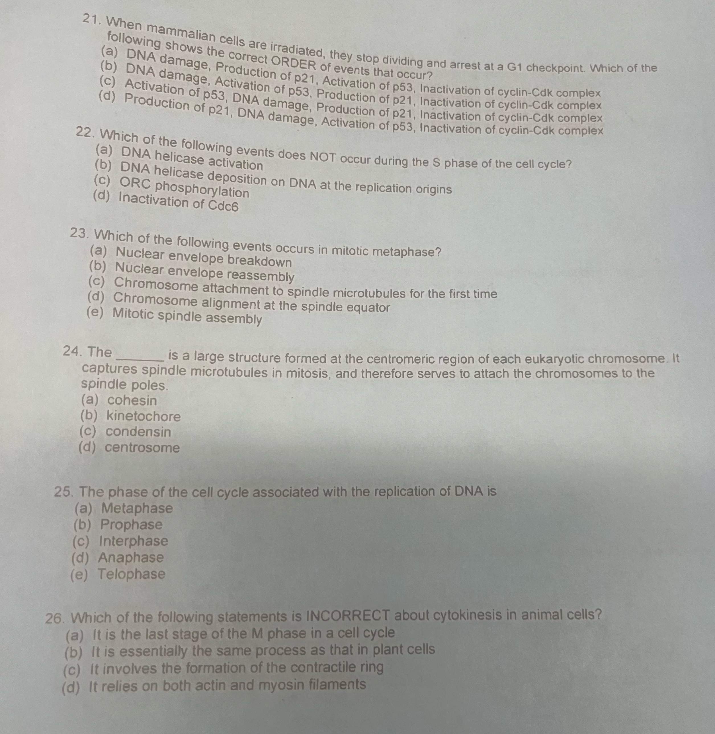 When mammalian cells are irradiated, they stop