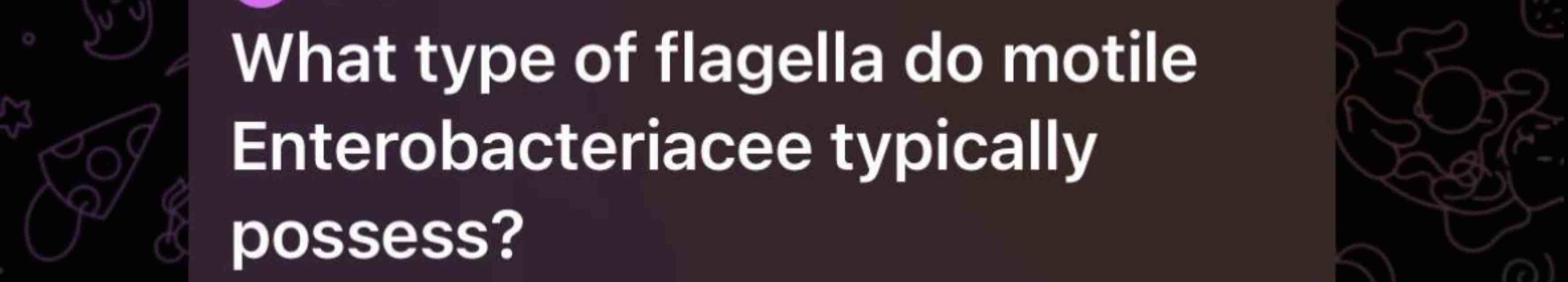 What type of flagella do motile Enterobacteriacee