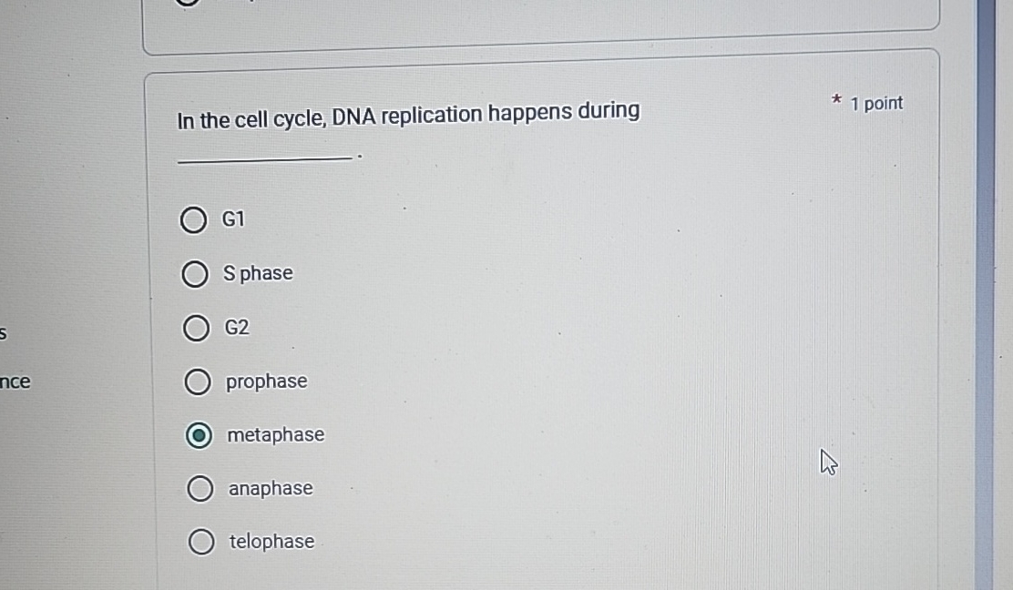 In the cell cycle, DNA replication happens during