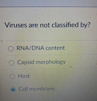 Viruses are not classified by ? RNA / DNA content