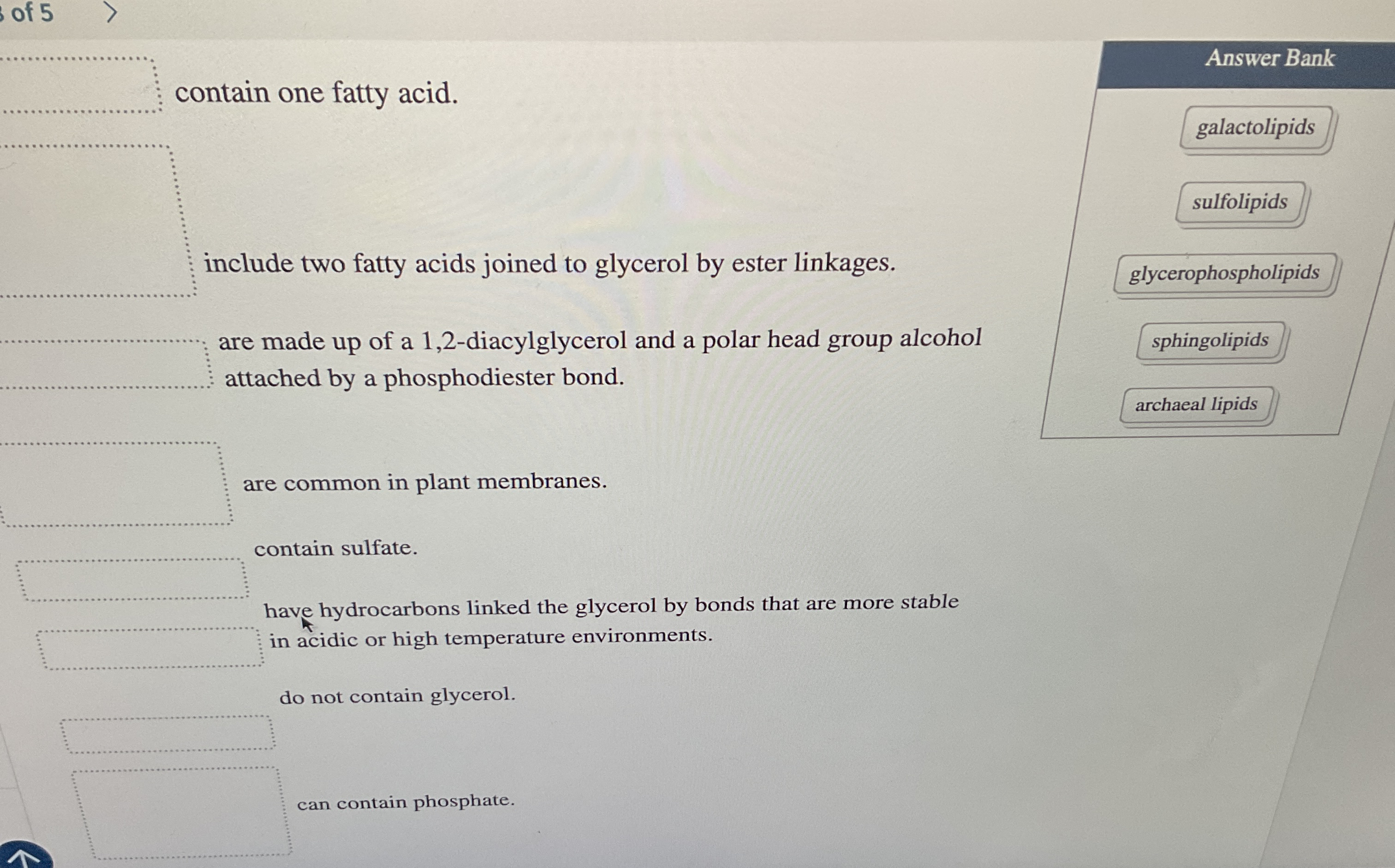 of 5 Answer Bank contain one fatty acid.