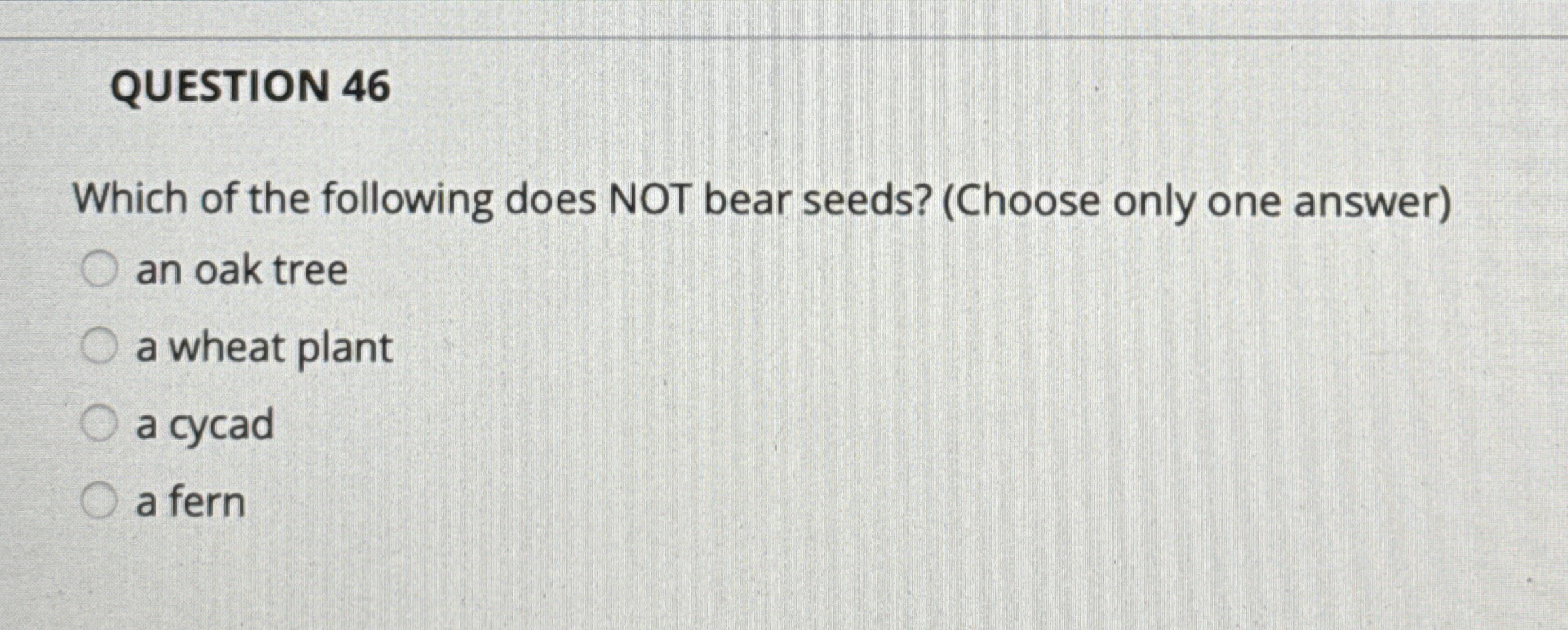 QUESTION 4 6 Which of the following does NOT bear