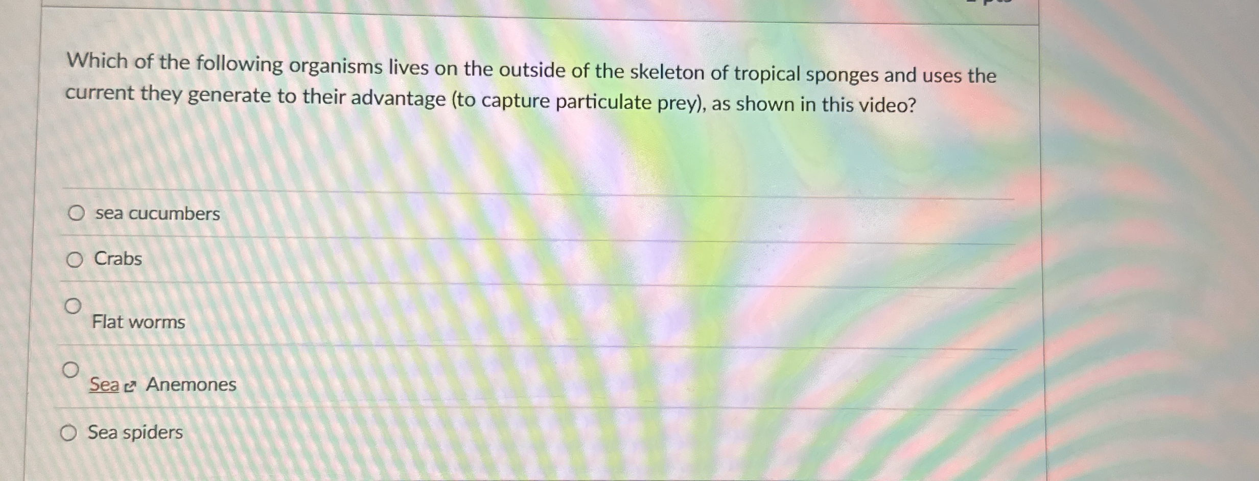 Which of the following organisms lives on the