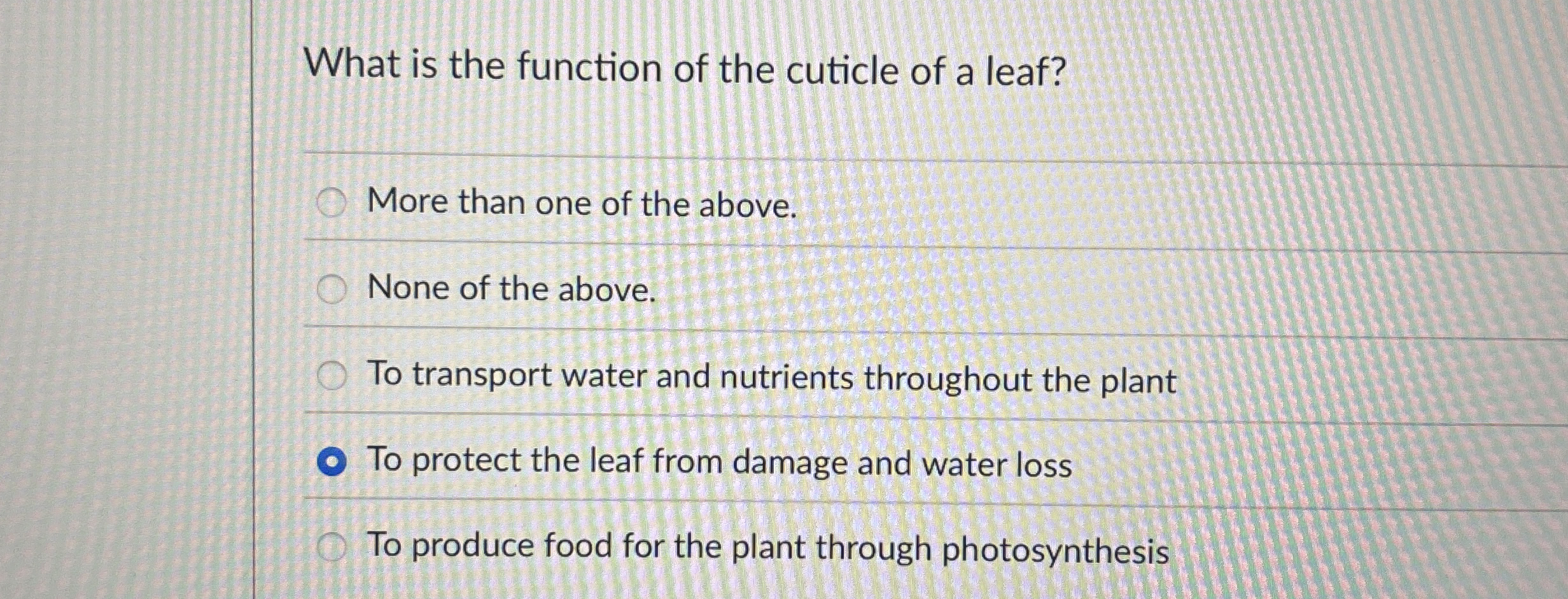 What is the function of the cuticle of a leaf?