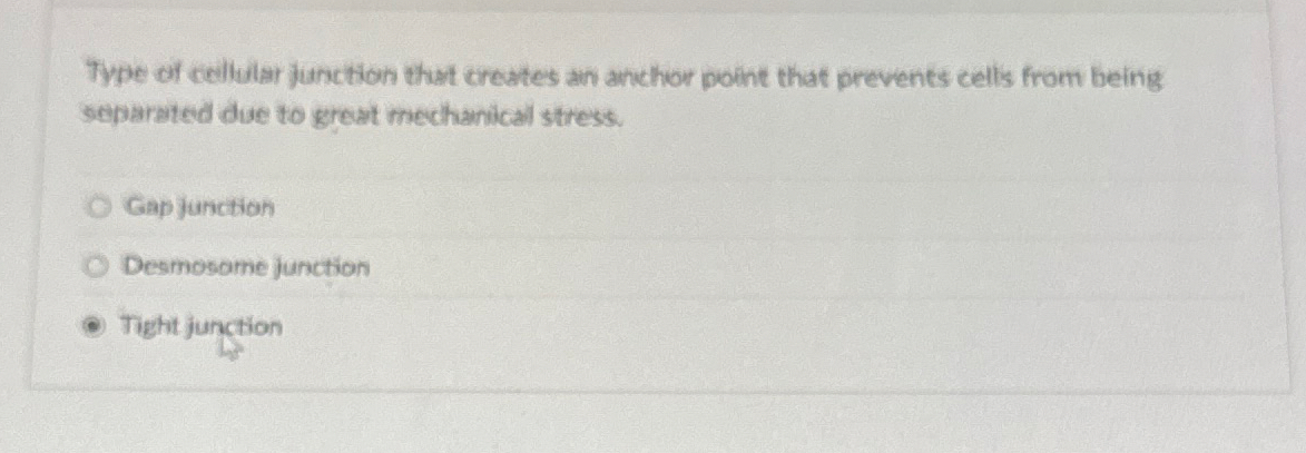 Type of ceilular junction that creates an anchor