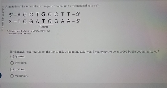 A mutational lesion resuls in a sequence