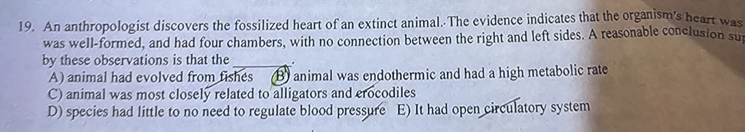 An anthropologist discovers the fossilized heart