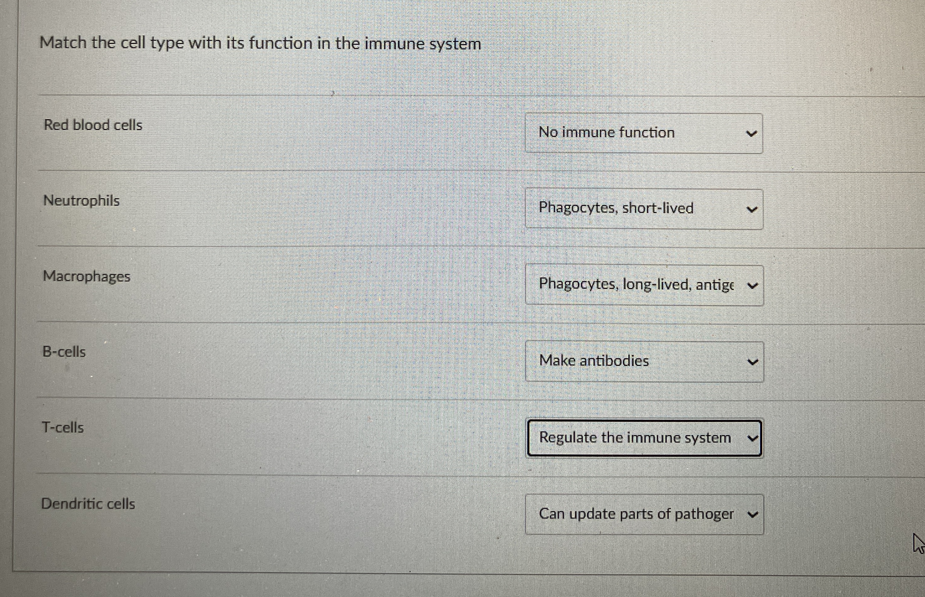 Match the cell type with its function in the