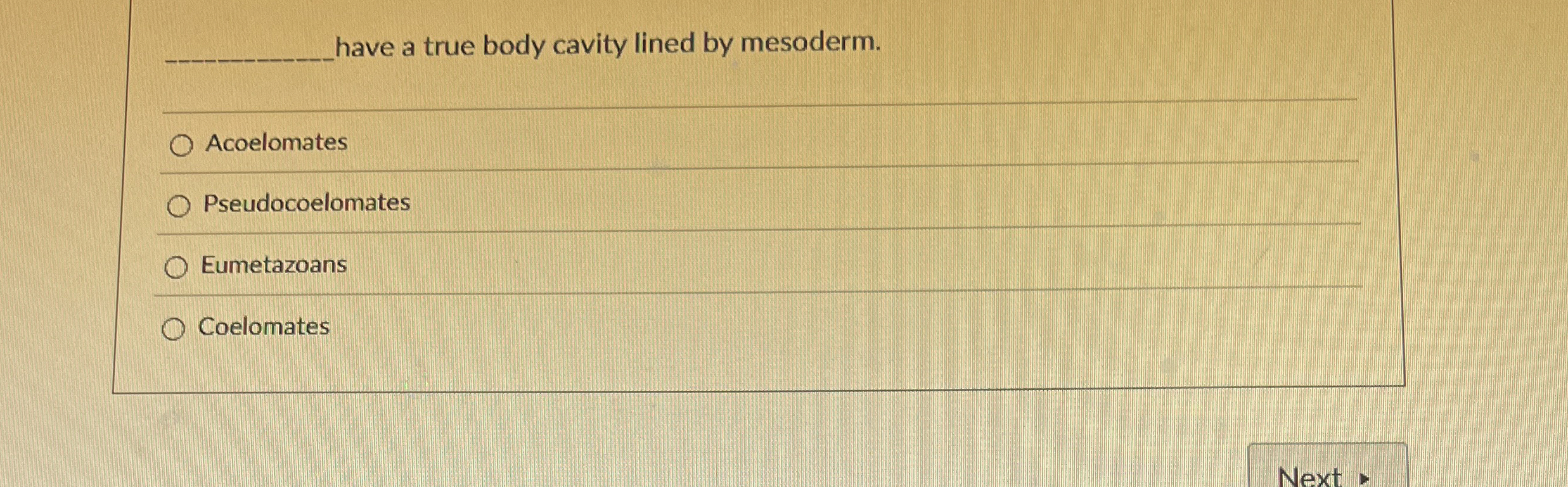 have a true body cavity lined by mesoderm.
