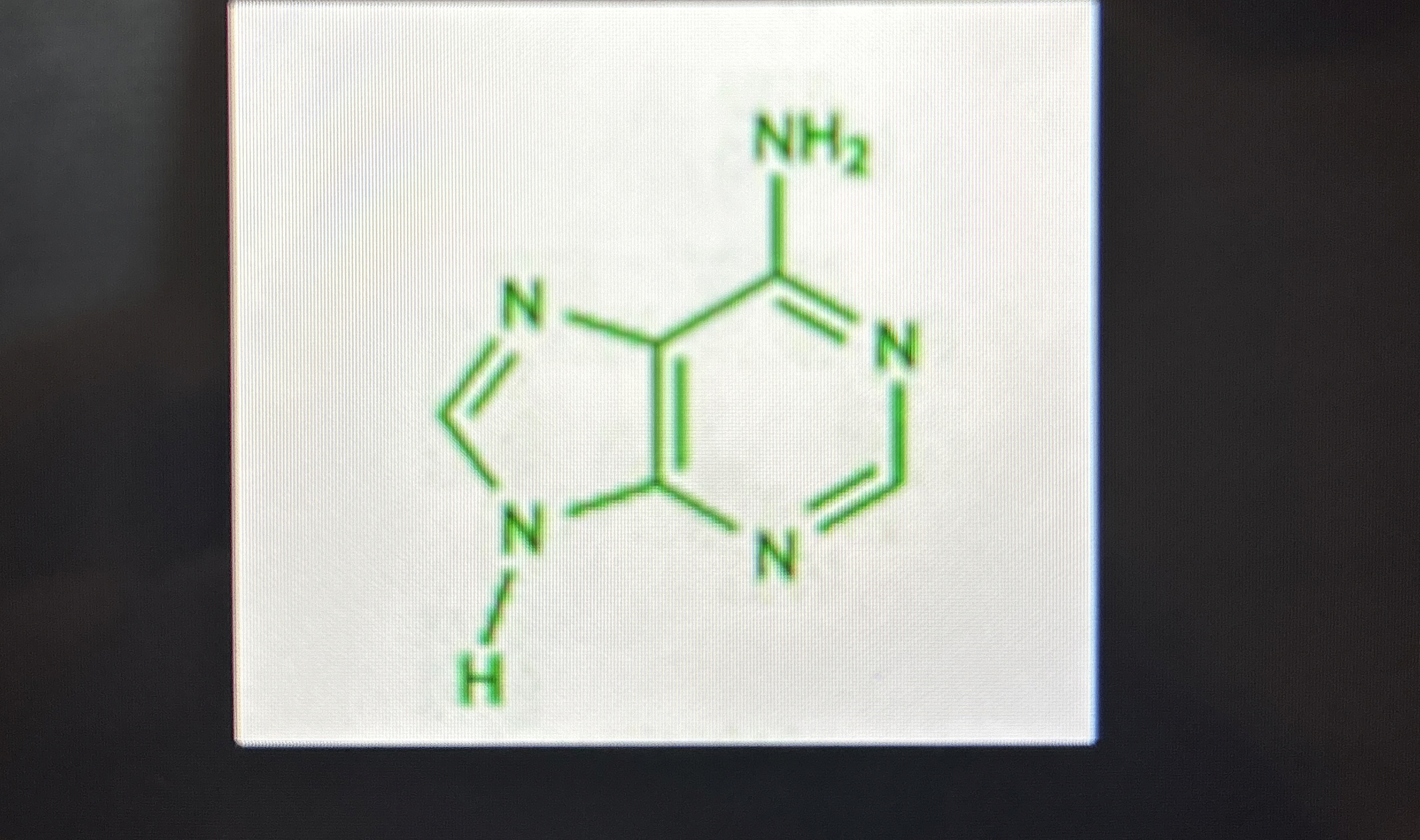 Identify this nucleic acid