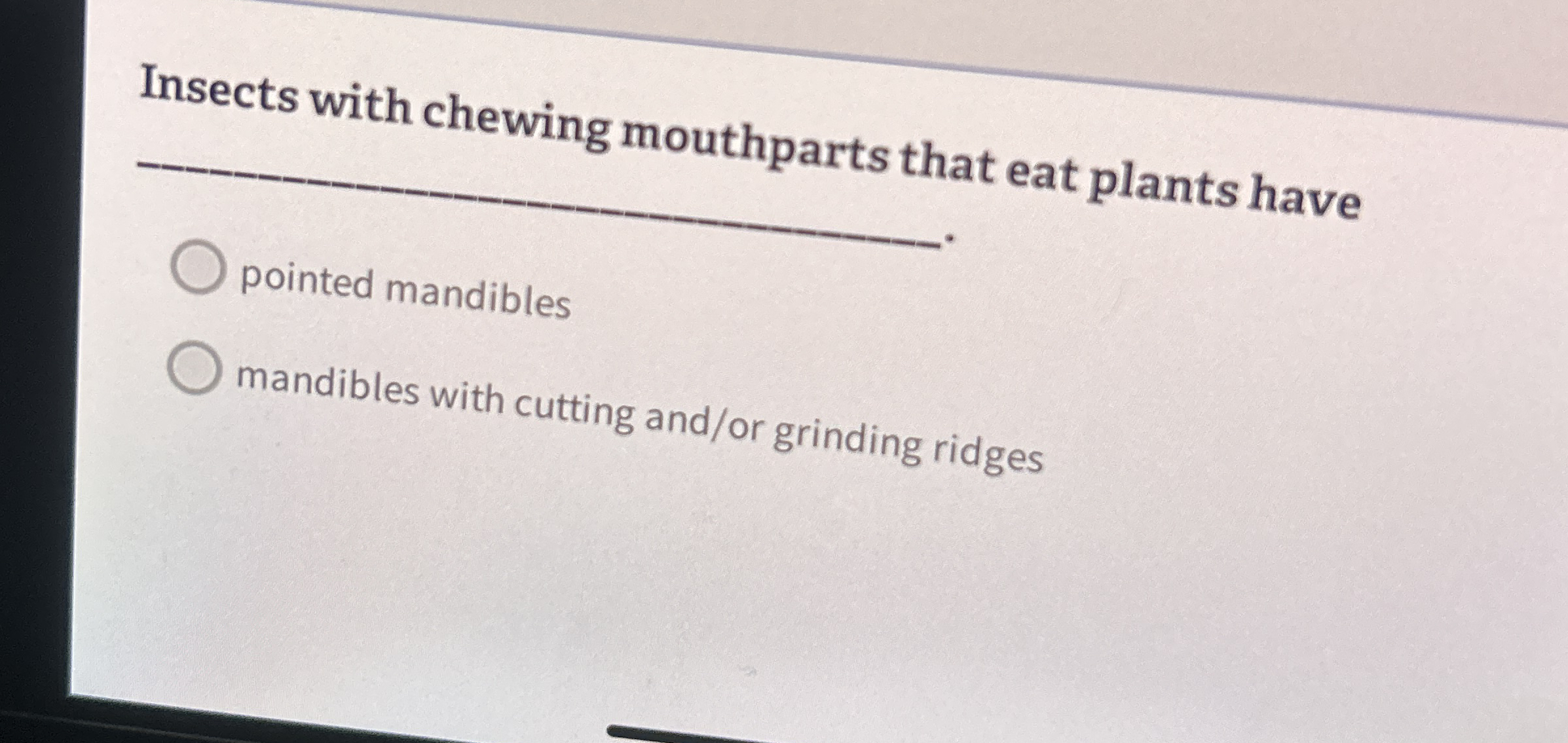 Insects with chewing mouthparts that eat plants