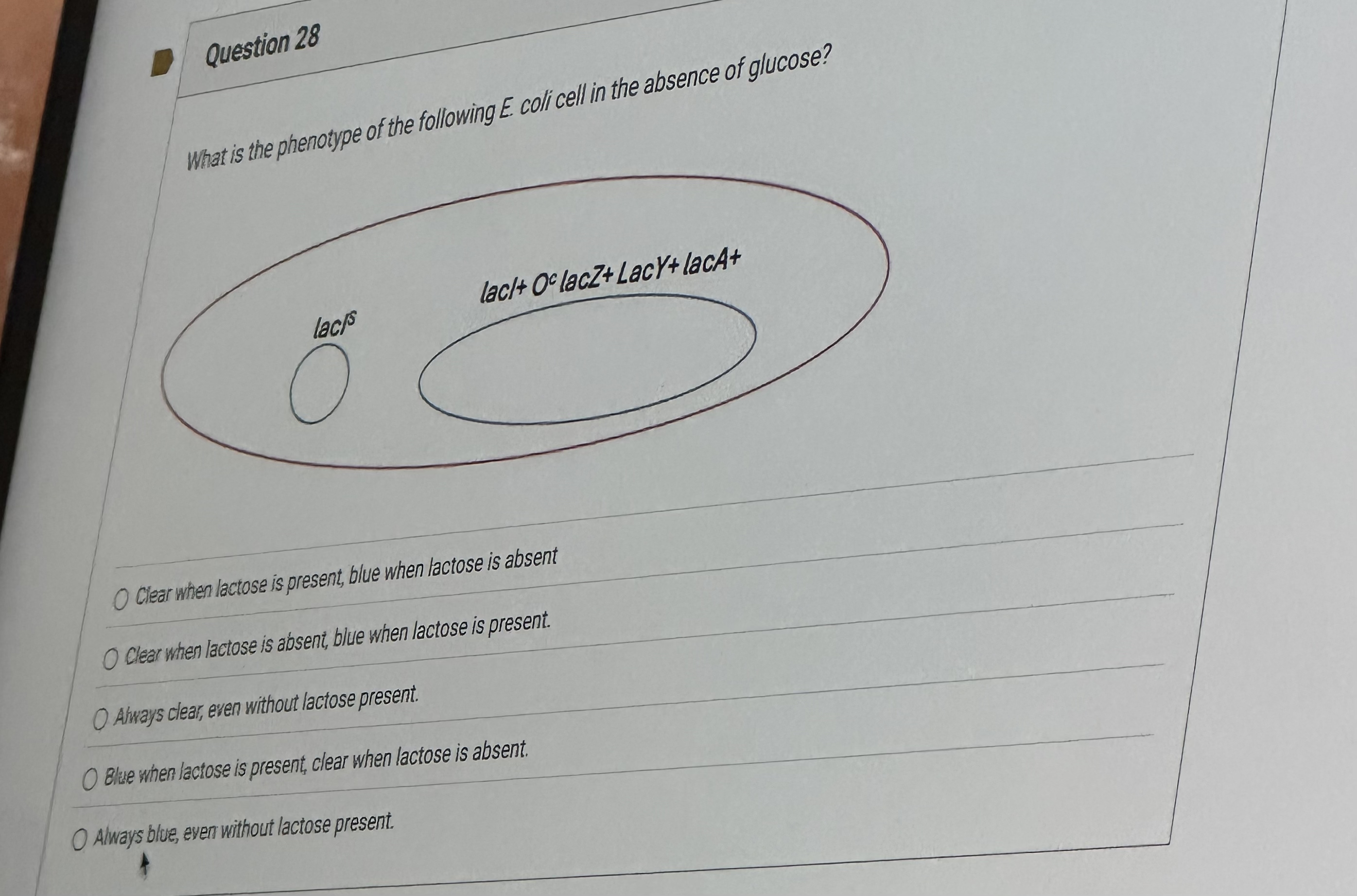 Question 2 8 Clear when lactose is present, blue