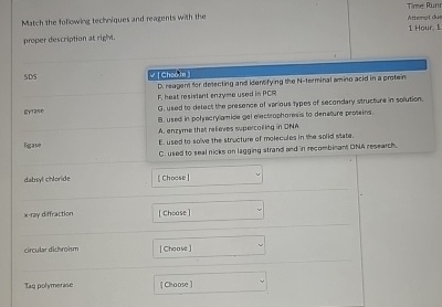 Match the following technique and reagents with