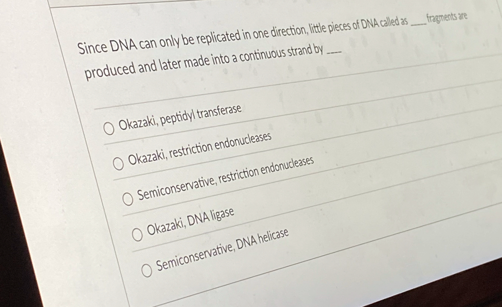 Since DNA can only be replicated in one