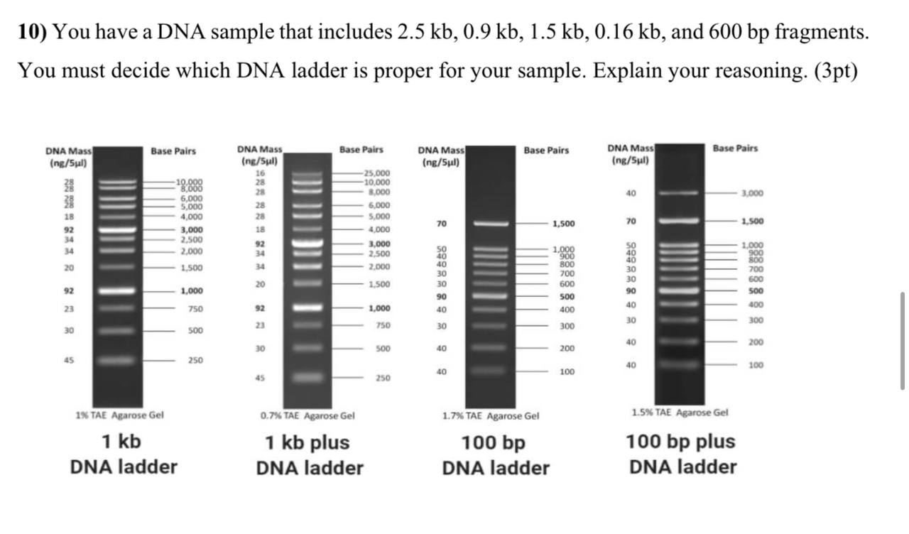 You have a DNA sample that includes 2 . 5 k b , 0