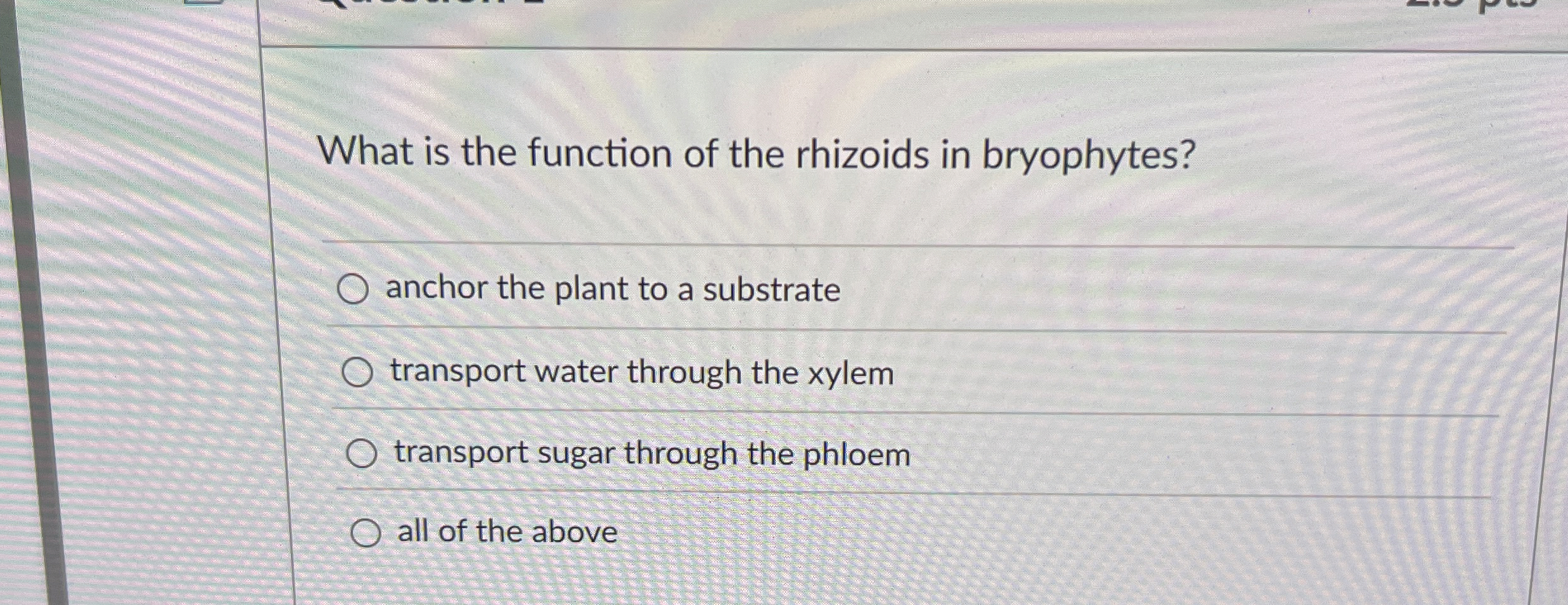 What is the function of the rhizoids in