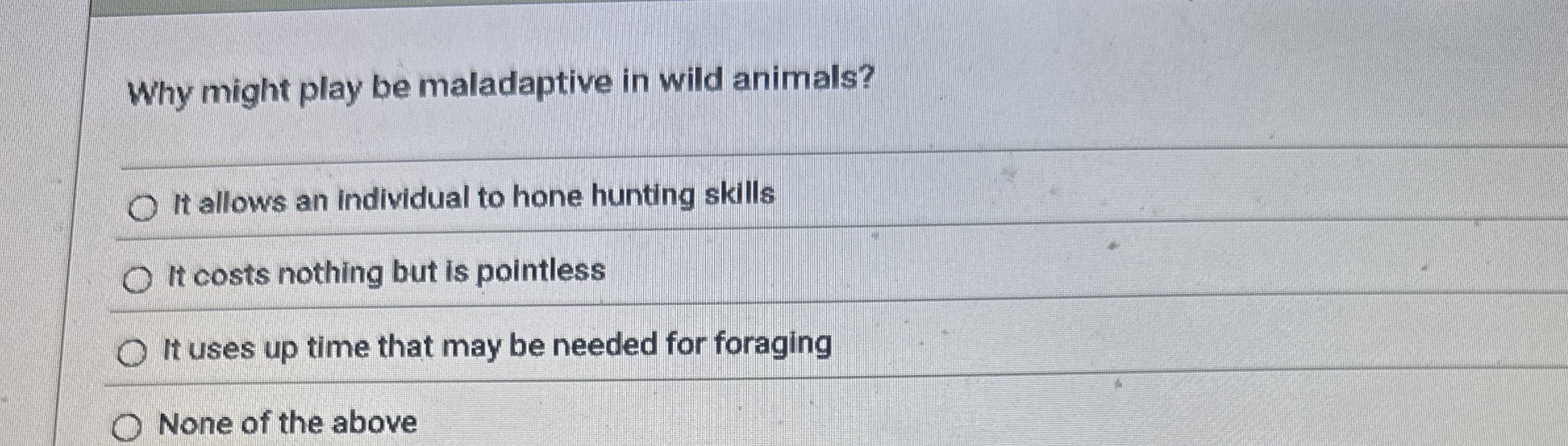 Why might play be maladaptive in wild animals? q