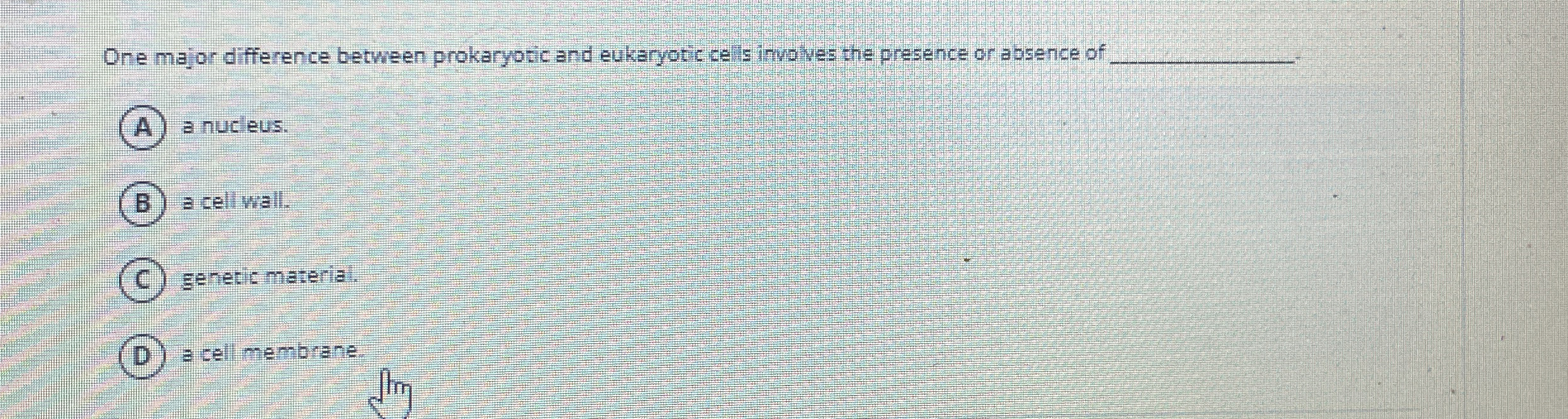 One major difference between prokaryotic and