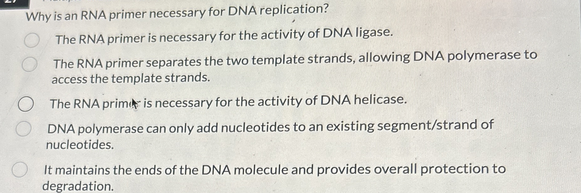 Why is an RNA primer necessary for DNA