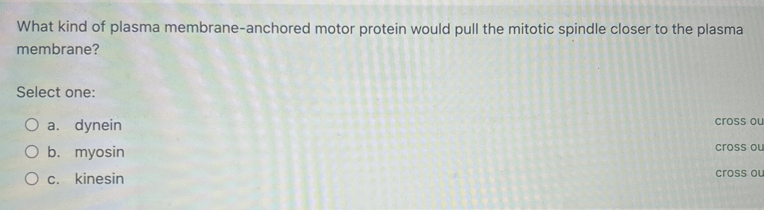 What kind of plasma membrane - anchored motor