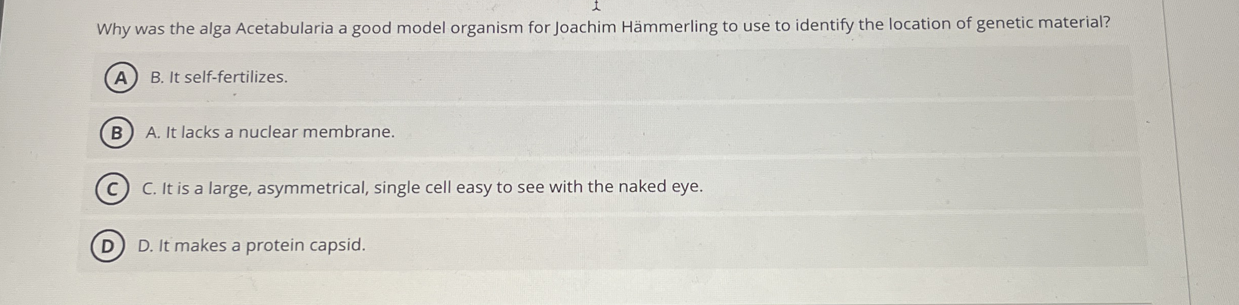 Why was the alga Acetabularia a good model