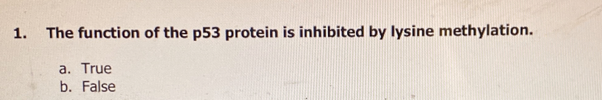 The function of the p 5 3 protein is inhibited by