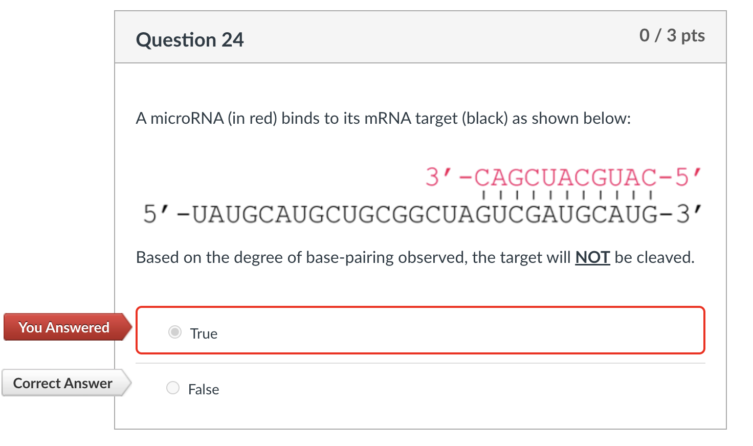 A microRNA ( in red ) binds to its mRNA target (