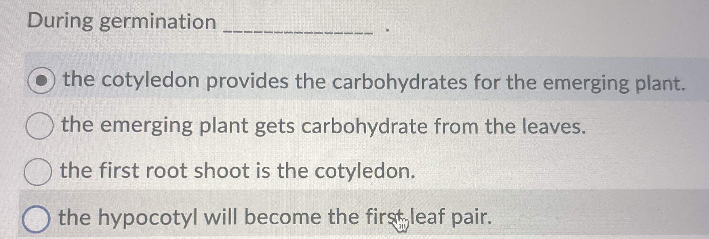 During germination q , the cotyledon provides the