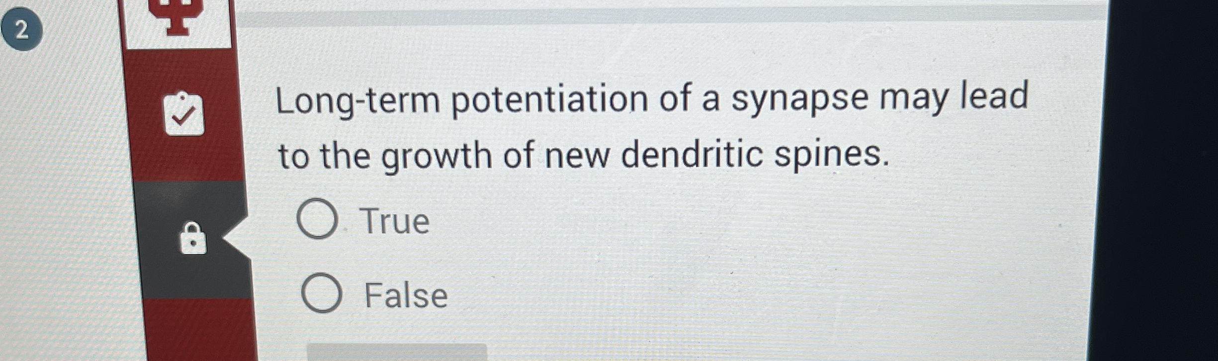 Long - term potentiation of a synapse may lead to