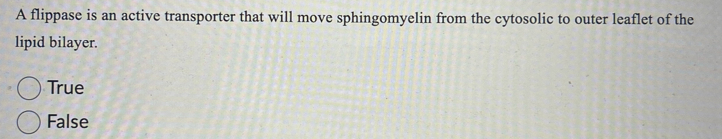 A flippase is an active transporter that will