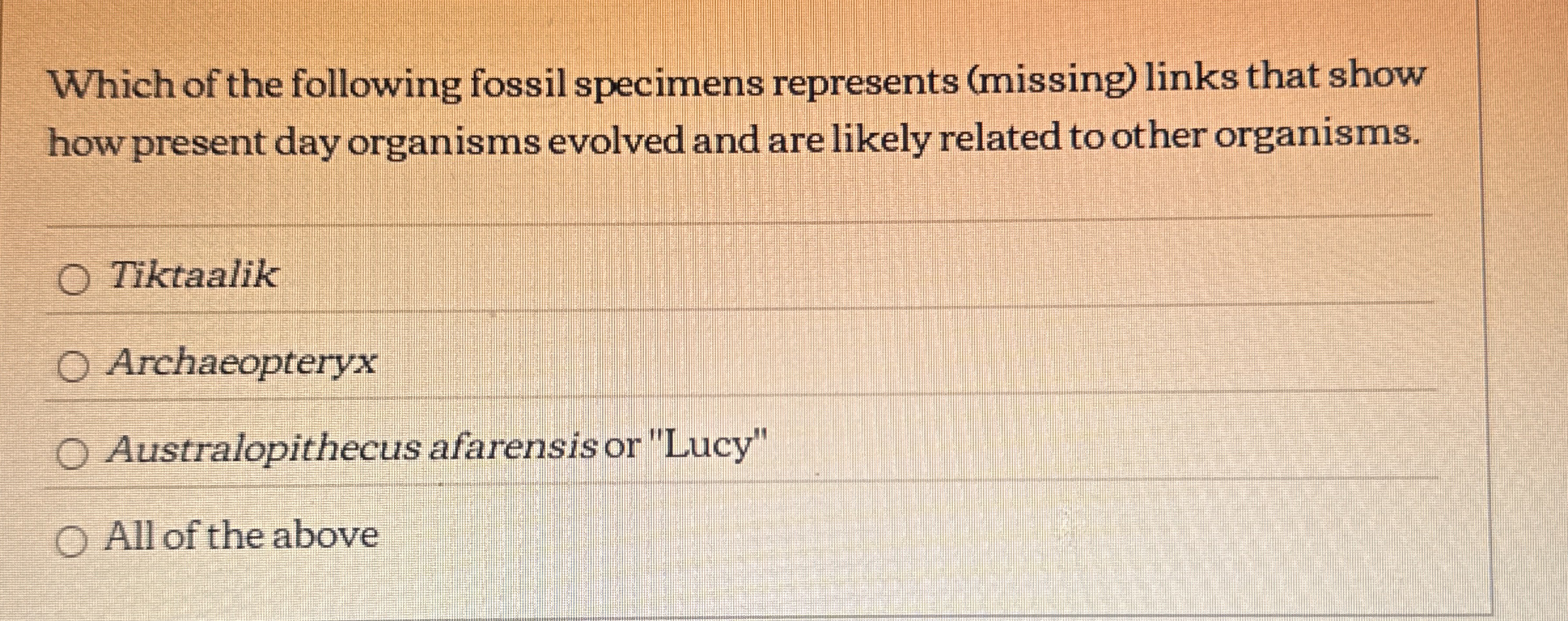 Which of the following fossil specimens