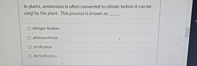 In plants, ammonium is often converted to nitrate