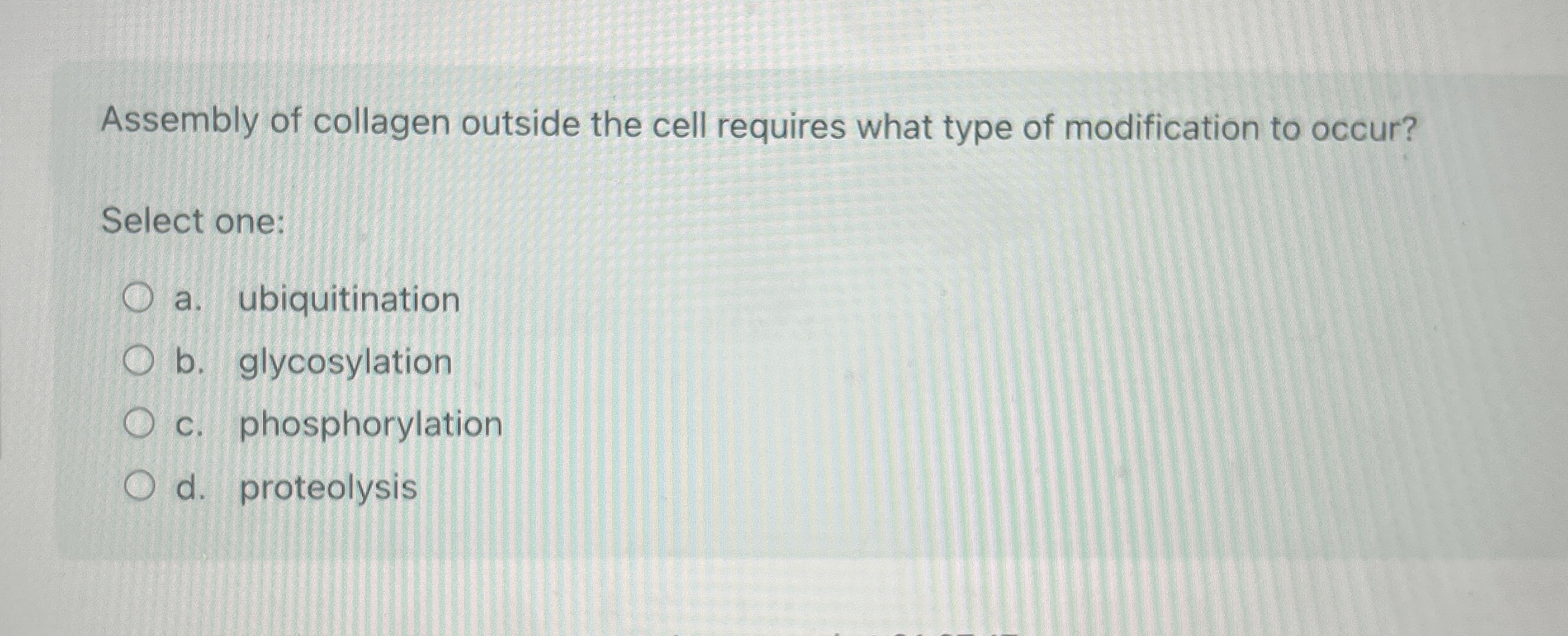 Assembly of collagen outside the cell requires