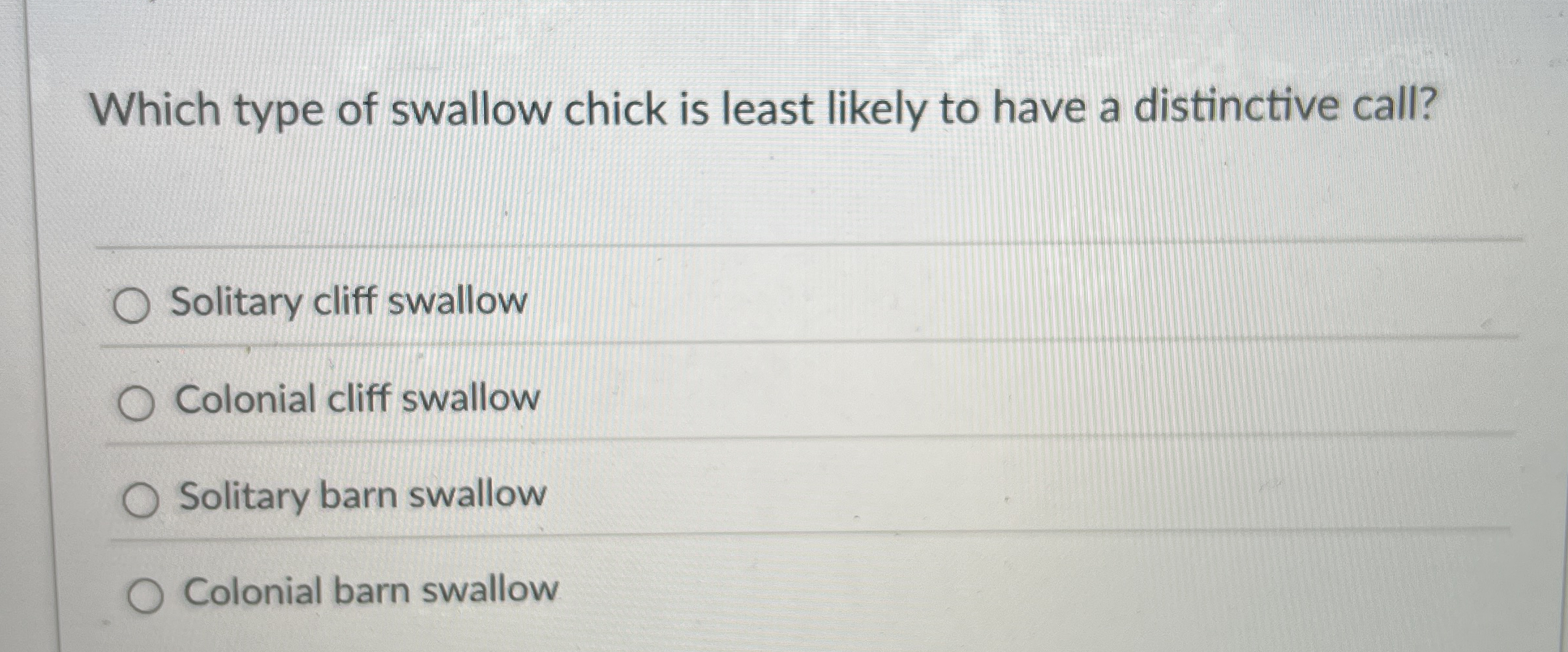 Which type of swallow chick is least likely to