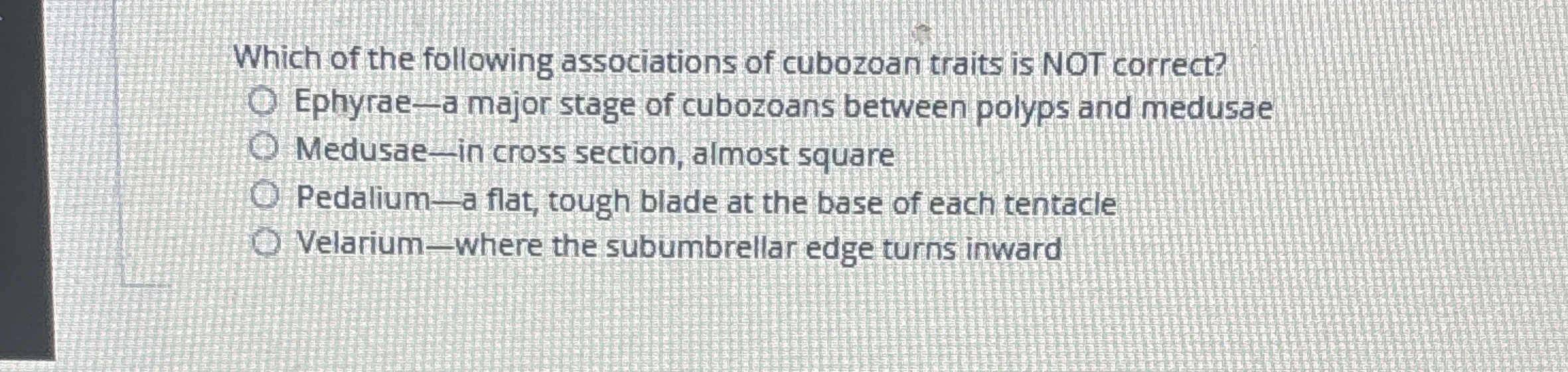 Which of the following associations of cubozoan