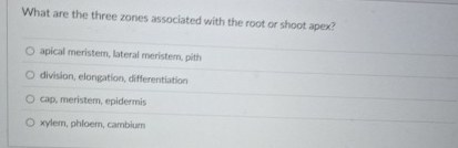 What are the three zones associated with the root