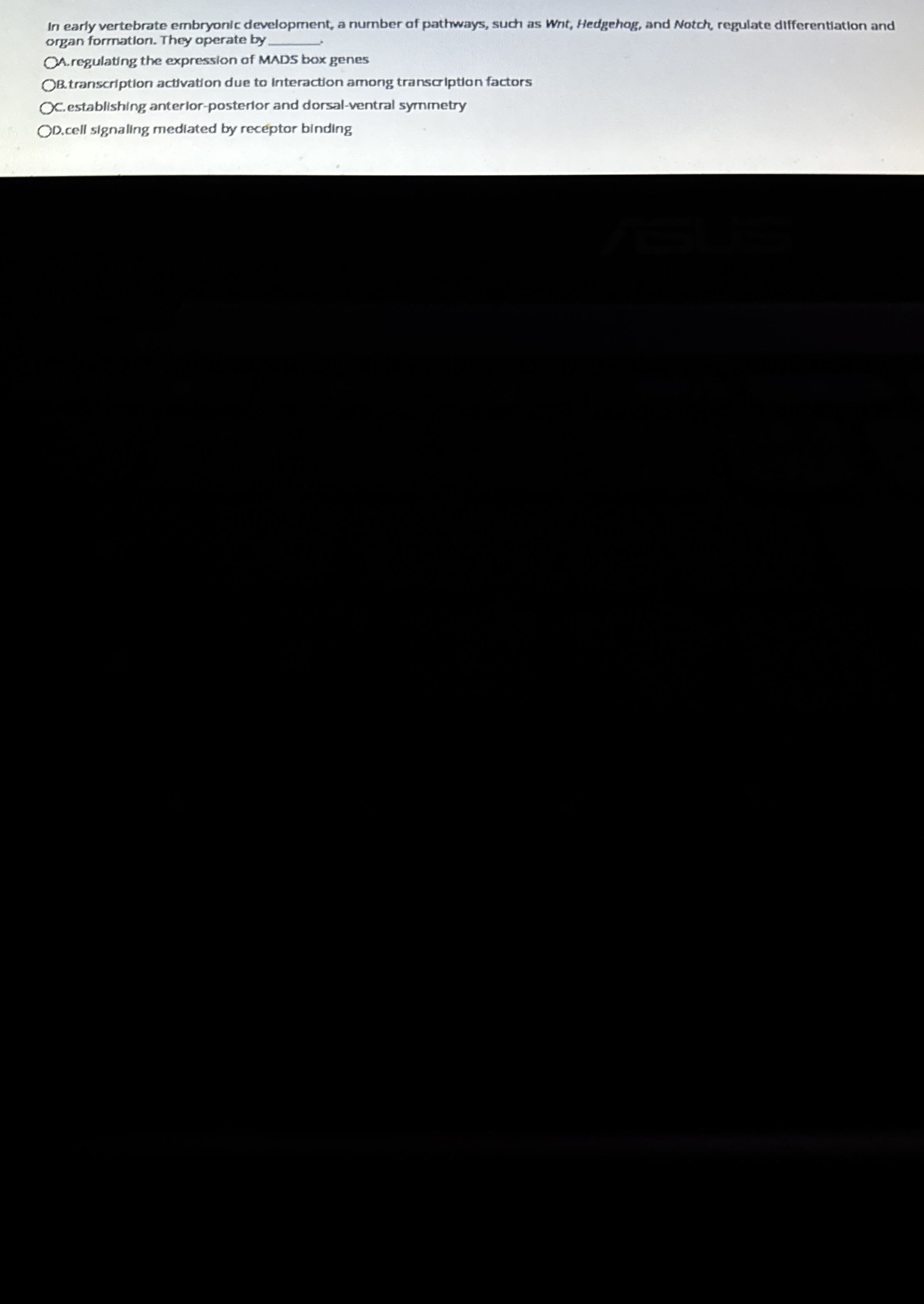 In early vertebrate embryonic development, a